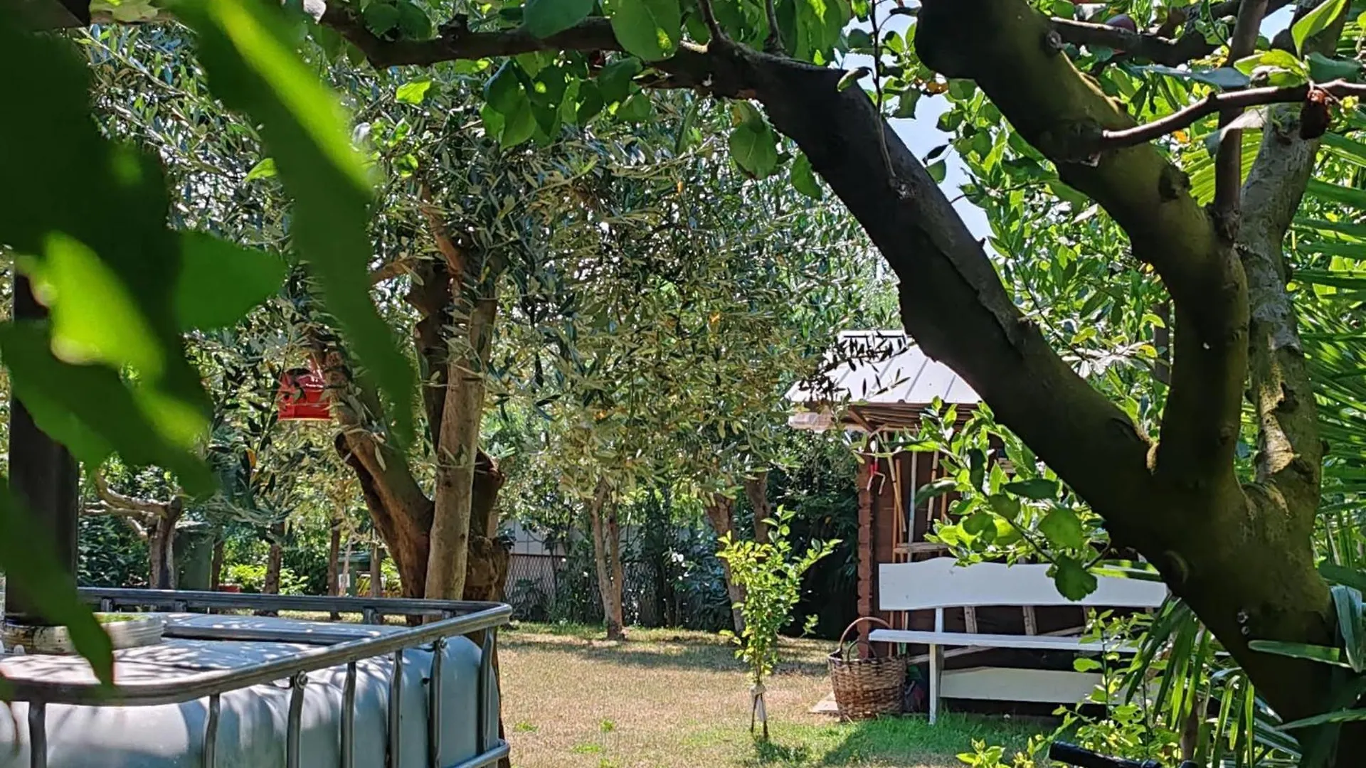 Apartmani Cocolo Porec Croatia