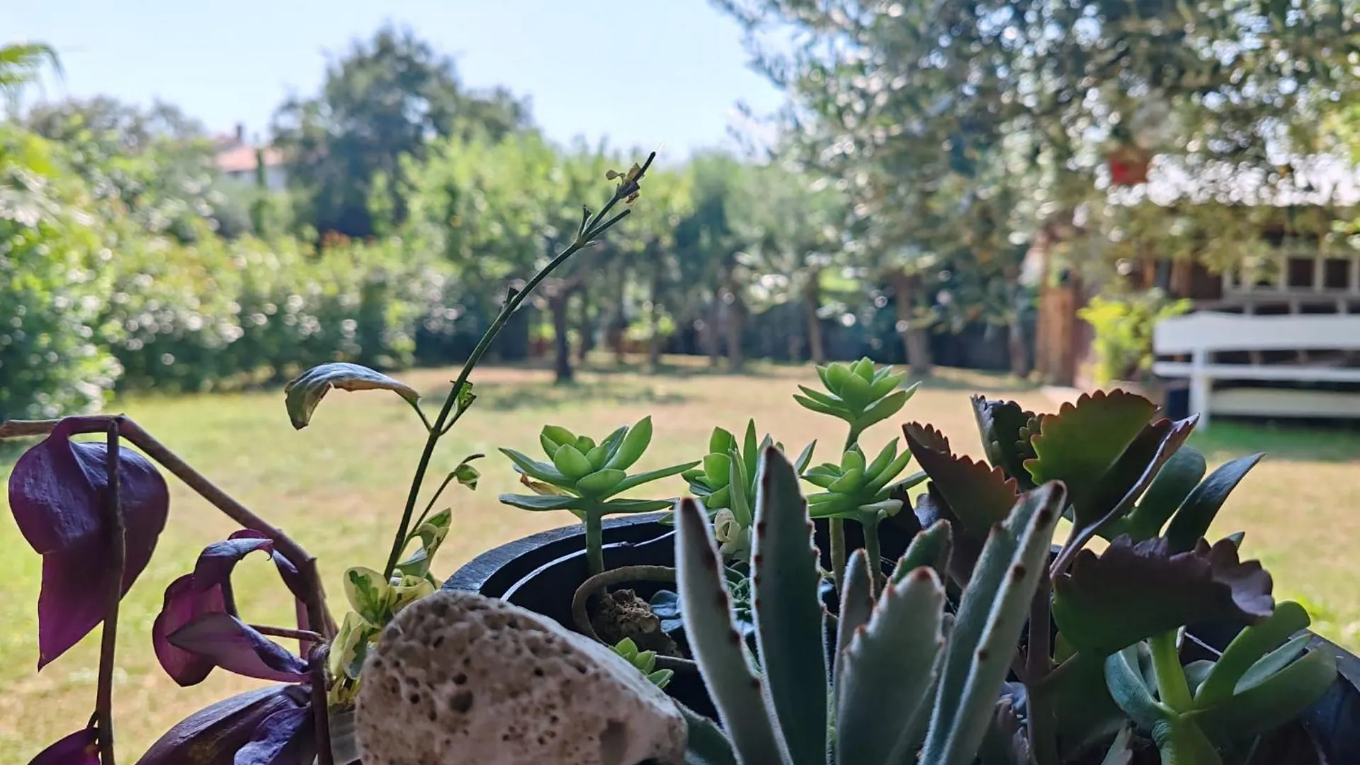 Apartmani Cocolo Poreč